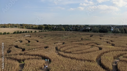 labyrinth in the field