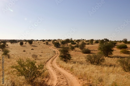 Dirt Road of the Kgalagadi