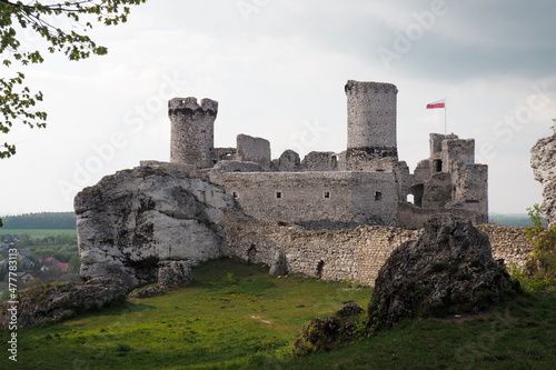 Ruiny zamku Ogrodzieniec