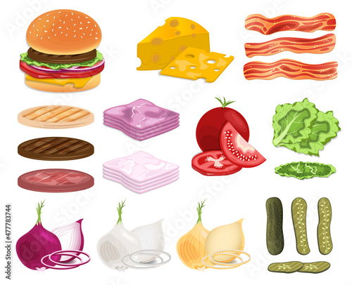 Collection ingredients of the burger fast food concept illustration vegetales and meat vector