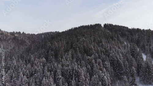 Winter in the mountains. Forest in the snow. Shooting from a quadcopter.