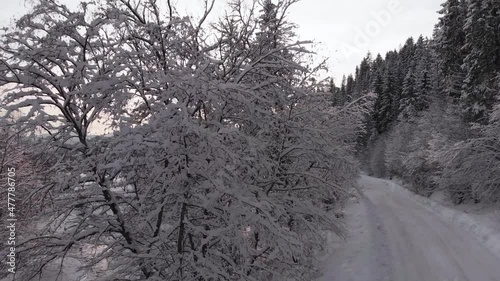 Winter in the mountains. Forest in the snow. Shooting from a quadcopter.
