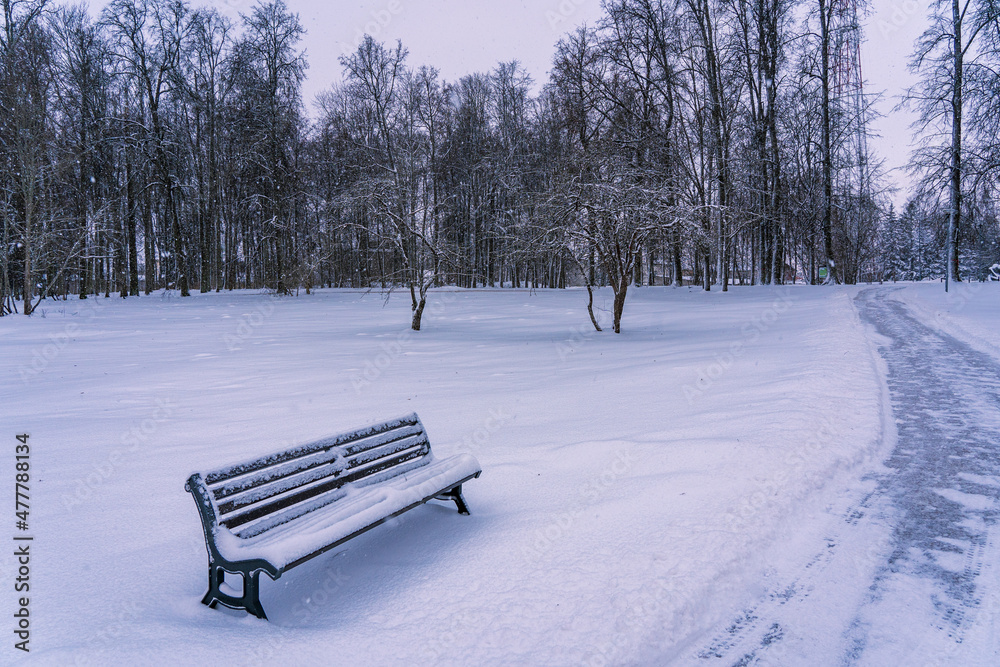 A bench in the park with snow. A path in the park. The winter landscape.