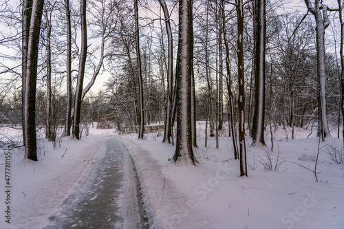 A path in the park, tree trunks with snow.