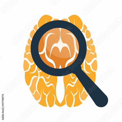 Find Brain Logo Design Template.  Magnifying glass brain logo design icon.