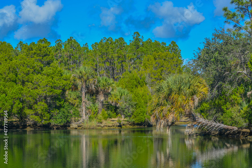 Crystal River has natural springs feeding it. Crystal River Preserve State Park is in Citrus County  Florida