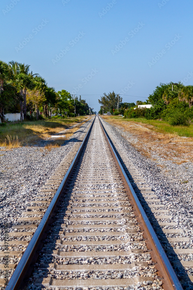 Railroad Tracks Going into the Distance