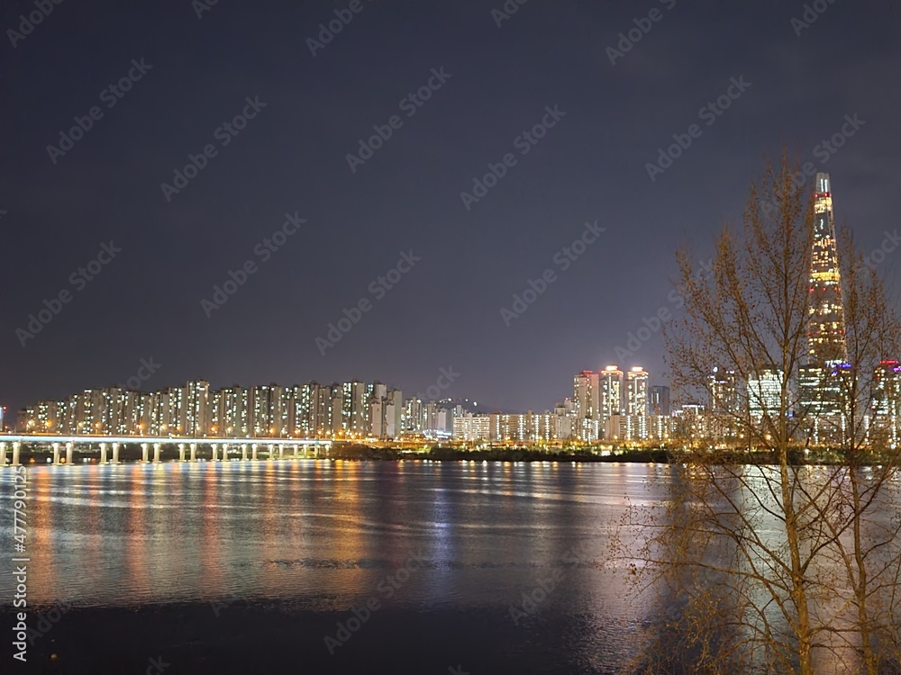 Fototapeta premium country skyline at night