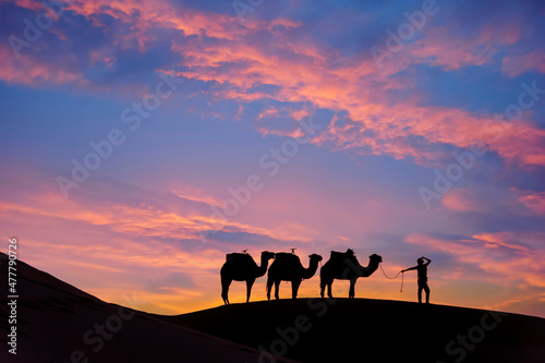 Silhouette Of Camels Against The Sun Rising In The Sahara Desert In Morocco © Grindstone Media Grp