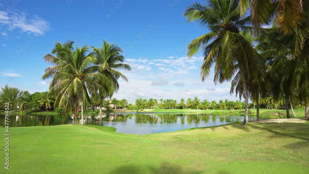 Bright summer tropical park with a pond. Coconut palms on green grass under an open blue cloudy sky in the evening sun. The mirror surface of the water reflects the beauty of the natural landscape. Bright summer tropical park with a pond. Coconut palms on green grass under an open blue cloudy sky in the evening sun. The mirror surface of the water reflects the beauty of the natural landscape.
