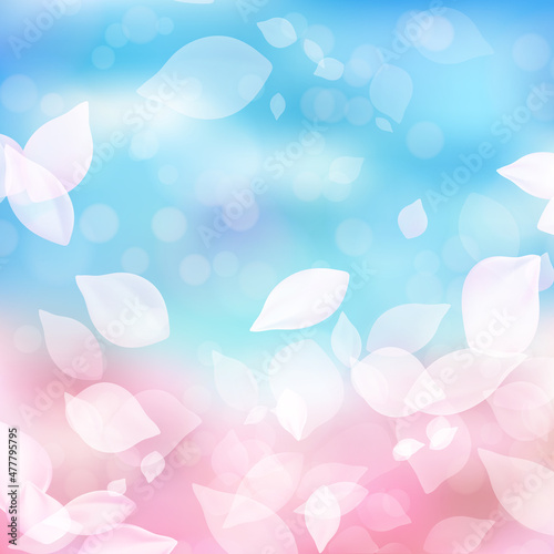 Fototapeta Naklejka Na Ścianę i Meble -  桜　春　花　背景