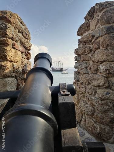 Billede på lærred cannon in the fortress