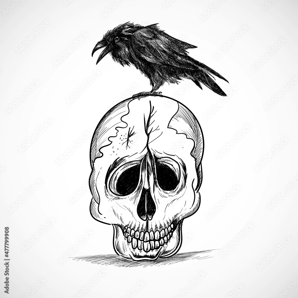 Obraz premium Hand draw skull with crow design