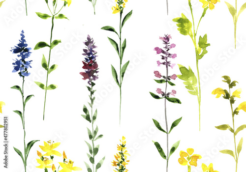 watercolor drawing seamless pattern with wild flowers at white background, hand drawn illustration