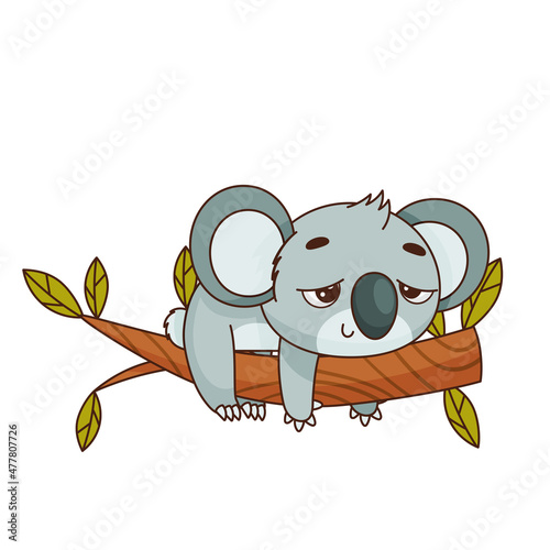 Koala sleeps on a tree branch. Goodnight. Postcard in children's cartoon style. Vector illustration for designs, prints and patterns.