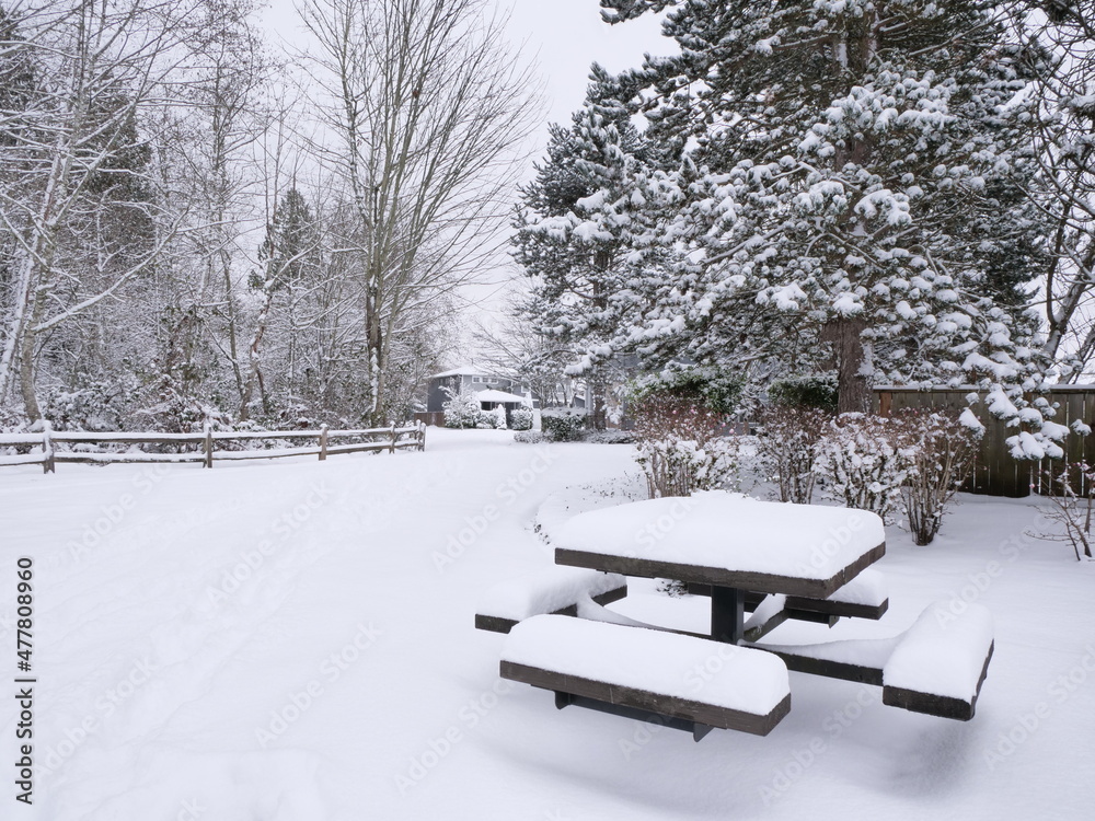 Bench in the park, covered with snow during winter