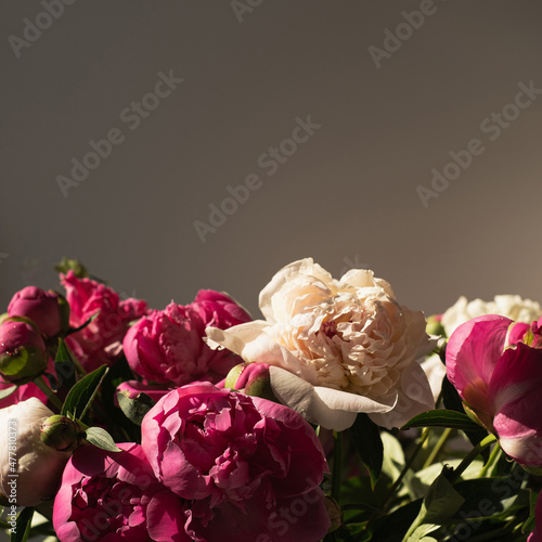 Fototapeta Naklejka Na Ścianę i Meble -  Delicate pink and white peony flowers bouquet on dark background. Minimalist bohemian floral composition