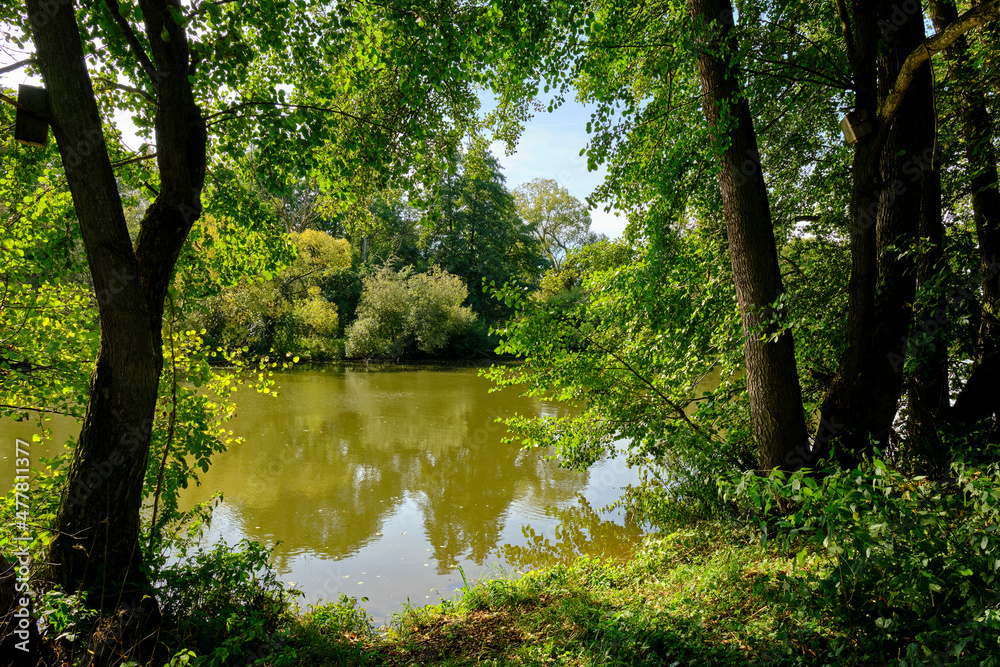 Landschaft und Baggerseen bei Dörfleins, Teil des LIFE-Naturprojekt Oberes Maintal, Stadt Hallstadt, Landkreis Bamberg, Oberfranken, Franken, Bayern, Deutschland Landschaft und Baggerseen bei Dörfleins, Teil des LIFE-Naturprojekt Oberes Maintal, Stadt Hallstadt, Landkreis Bamberg, Oberfranken, Franken, Bayern, Deutschland