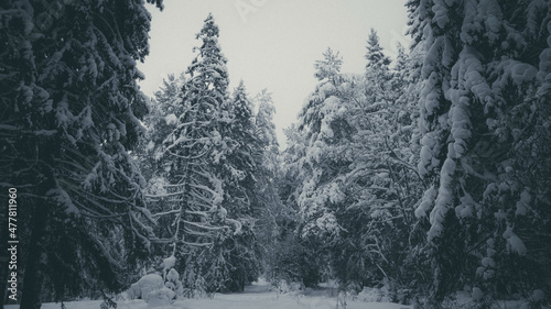winter