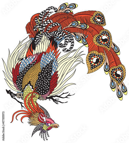 Chinese phoenix or Feng Huang magical bird. One of the celestial feng shui animals. Isolated vector illustration