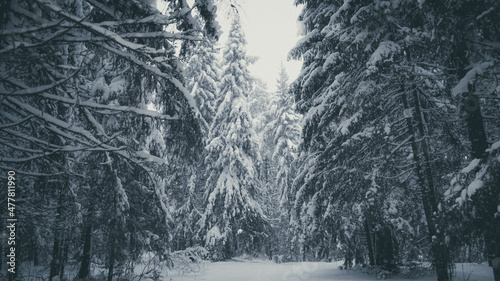 winter