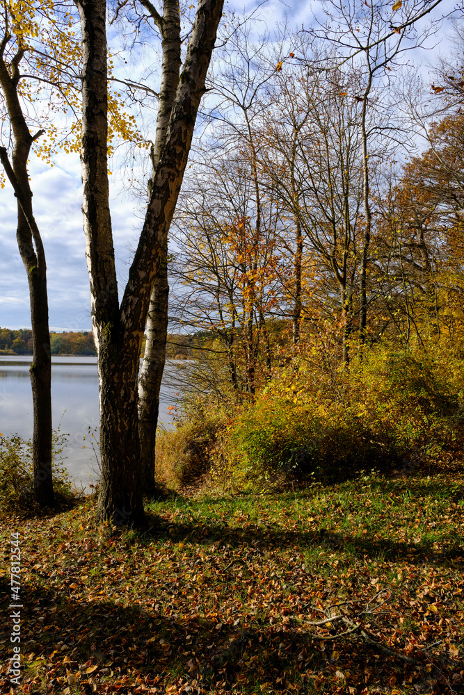 Der Reutsee bei Sulzdorf an der Lederhecke, Landkreis Rhön-Grabfeld, Unterfranken, Bayern, Deutschland Der Reutsee bei Sulzdorf an der Lederhecke, Landkreis Rhön-Grabfeld, Unterfranken, Bayern, Deutschland