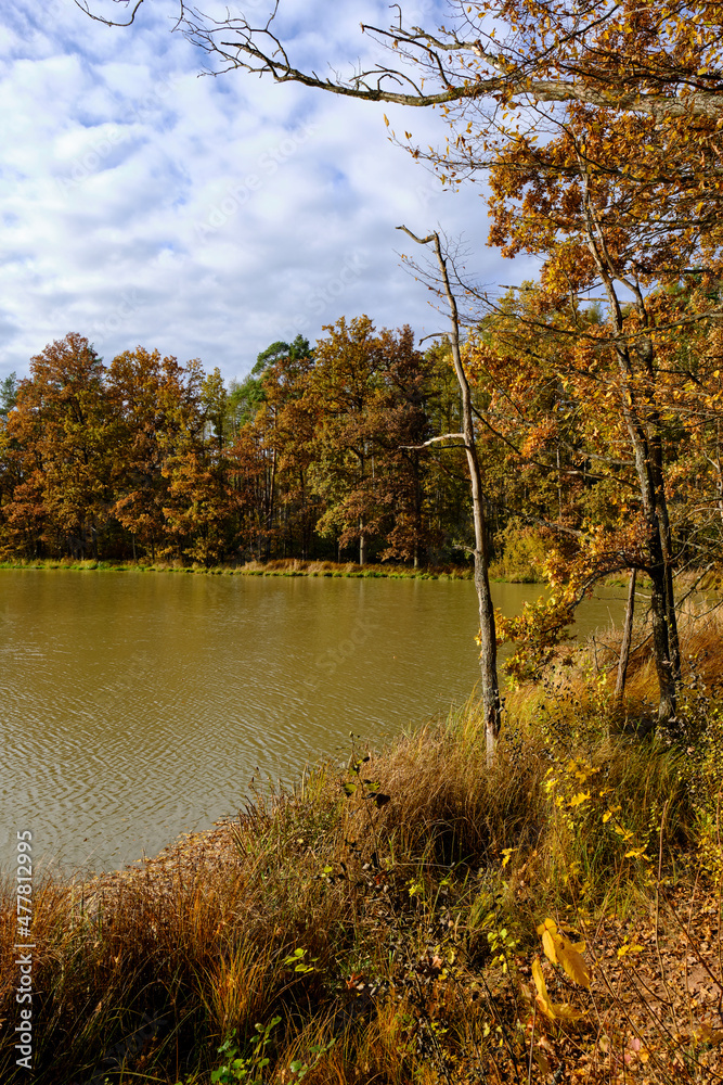 Fototapeta premium Der Reutsee bei Sulzdorf an der Lederhecke, Landkreis Rhön-Grabfeld, Unterfranken, Bayern, Deutschland