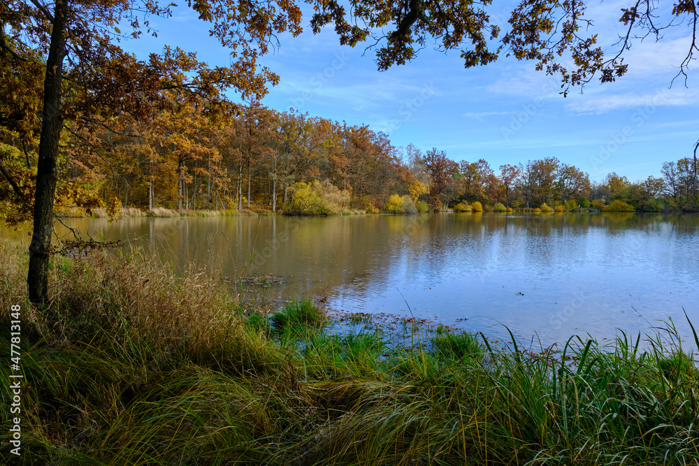 Der Reutsee bei Sulzdorf an der Lederhecke, Landkreis Rhön-Grabfeld, Unterfranken, Bayern, Deutschland