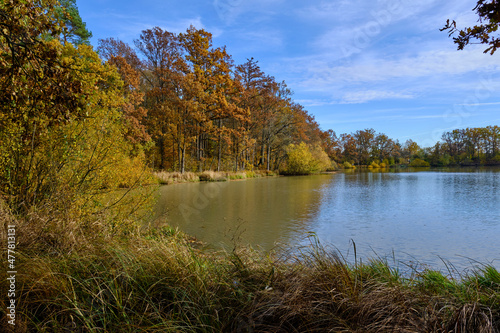 Der Reutsee bei Sulzdorf an der Lederhecke  Landkreis Rh  n-Grabfeld  Unterfranken  Bayern  Deutschland