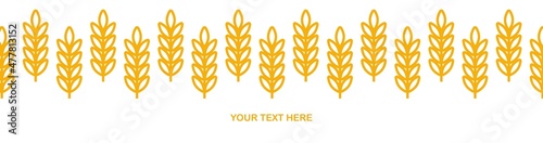 Wheat ears icon vector farm banner template. Line whole grain symbol illustration for organic eco bakery business, agriculture, beer on white background.