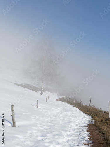 Schwarzwaldlandschaften. Zeller Bergland und Blauen oberhalb von Zell im Wiesental zwischen Basel und Feldberg. Pisten bei Schnee und und Nebel zwischen ruhigen Wäldern, Wiesen und Hügel  photo