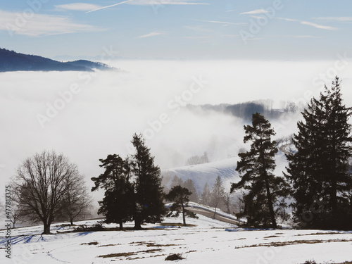 Zeller Bergland im Südschwarzwald. Panoramablick ins Wiesental zwischen Zell im Wiesental, Basel und Feldberg, Hügel und Berge von Gersbach und Frohnd bei Schnee und Nebel