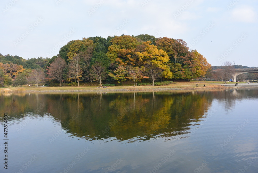 21世紀の森と広場 21世紀の森と広場