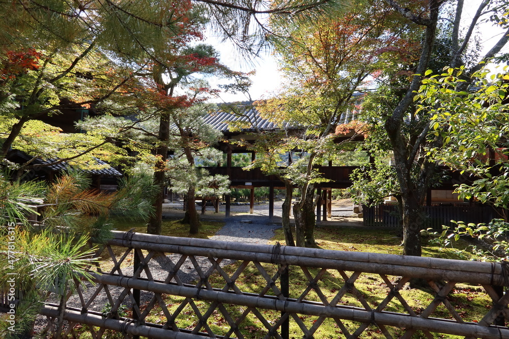 Connecting corridors in the precincts of Seiryo-ji Temple at Saga in Kyoto City in Japan 日本の京都市嵯峨にある清涼寺境内の渡り廊下
