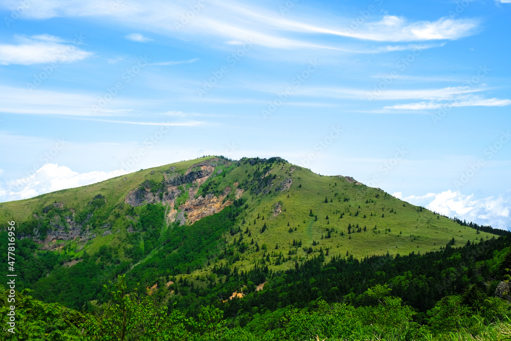 美しい緑の山 美しい緑の山