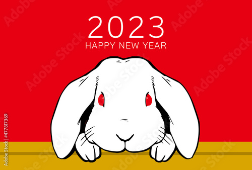 2023年　年賀状デザイン　ウサギ　リアル　赤　卯年 photo