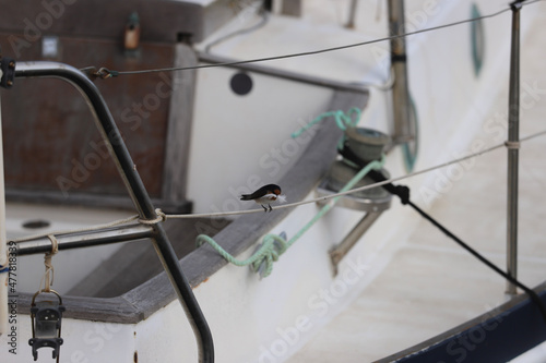 Wallpaper Mural bicycle parking lot Torontodigital.ca