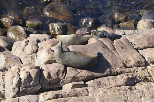 Wallpaper Mural rocks Torontodigital.ca