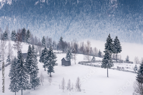 Winter landscape with snow covered trees © AlexandruPh