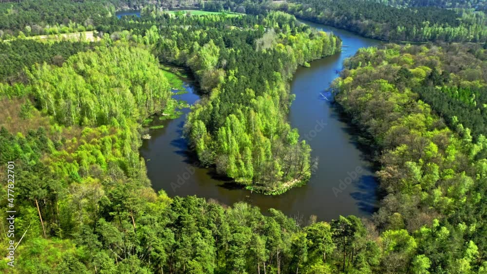 Big river and forest in summer. Aerial view of Poland Big river and forest in summer. Aerial view of Poland