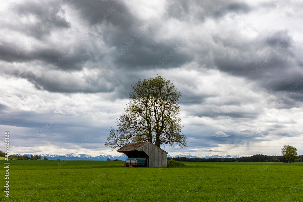 agricultural vehicle in a shed under a tree under threatening cloudy sky in Bavarian foothills of Alps. agricultural vehicle in a shed under a tree under threatening cloudy sky in Bavarian foothills of Alps.