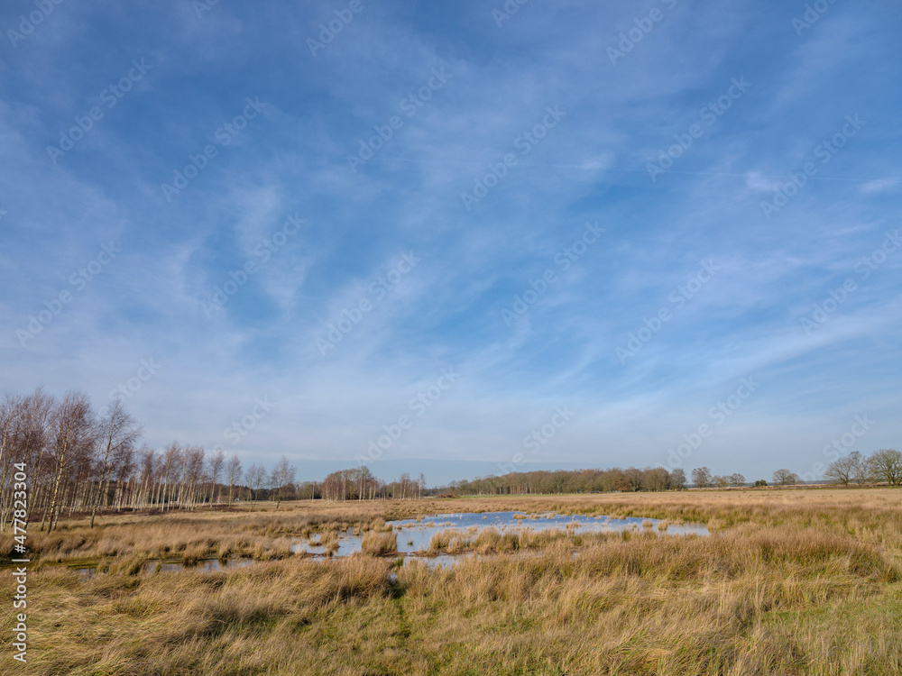 Obraz premium Dwingelerveld near Dwingeloo and Ruinen, Drenthe Province, The netherlands
