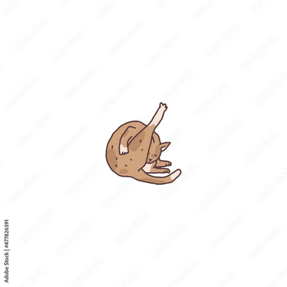 Cat domestic animal licks. Pet outline doodle vector illustration. Cat domestic animal licks. Pet outline doodle vector illustration.