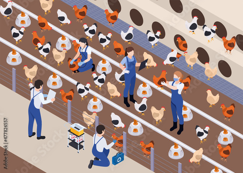 Poultry Vets Isometric Composition