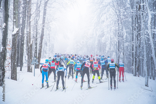 Canvastavla Professional nordic ski competition