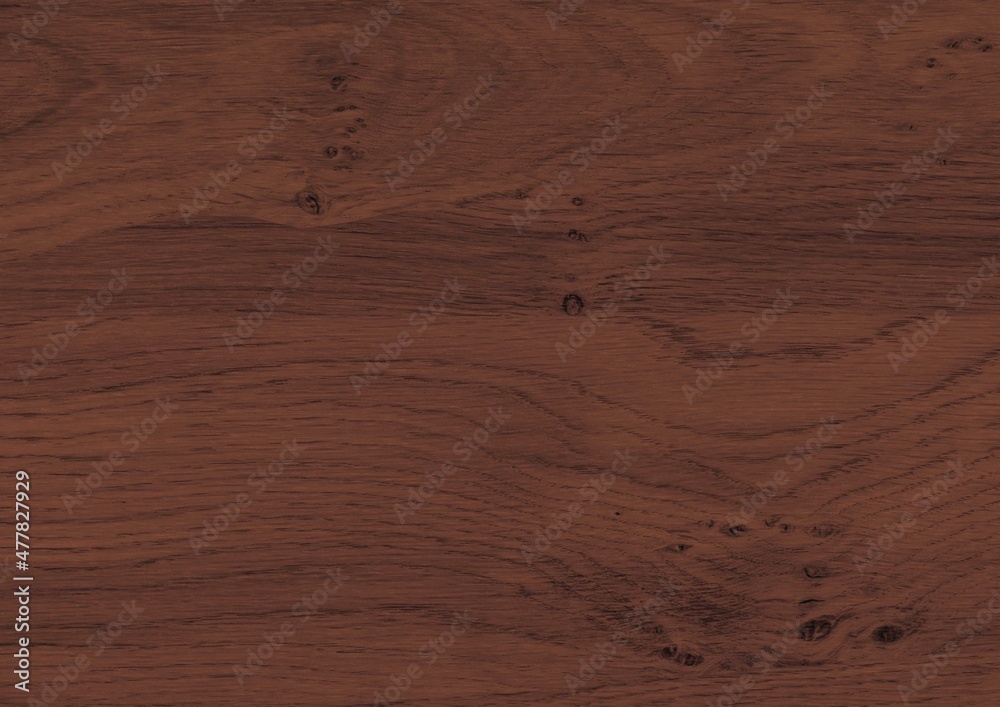 Fototapeta premium Walnut wood texture. Super long walnut planks texture background.Texture element