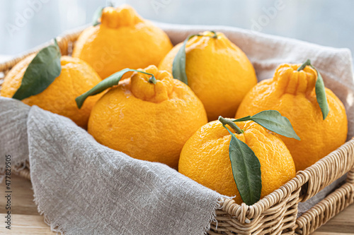 Tangerine Hallabong in a basket with white background, South Korea. photo