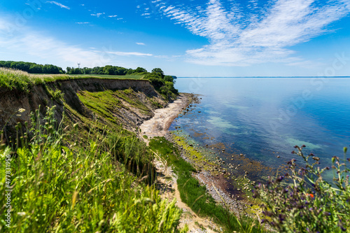 Fototapeta Naklejka Na Ścianę i Meble -  The Baltic Sea coast with the cliffs of Boltenhagen, Mecklenburg-Western Pomerania, Germany