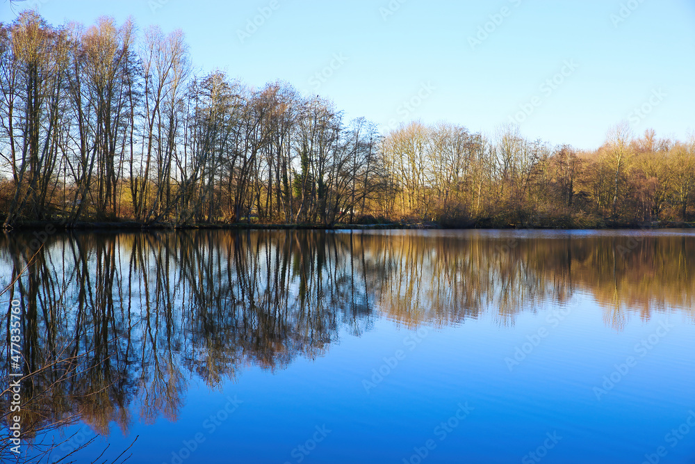 View on lake on frosty winter day with reflection of bare trees against blue clear cloudless sky - Nettetal (Lobberich), Germany