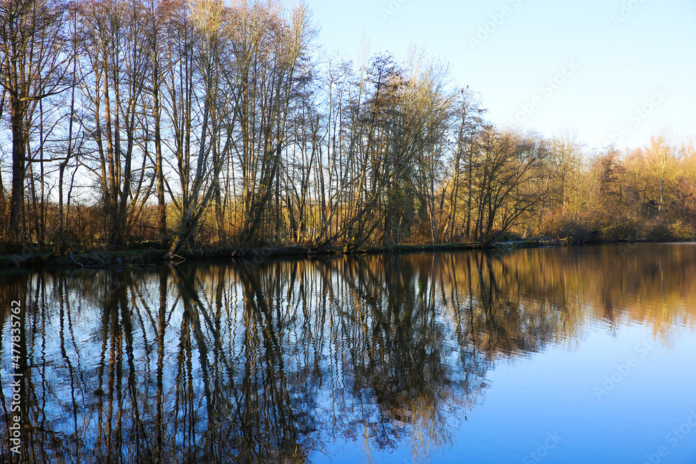 Obraz premium View on lake on frosty winter day with reflection of bare trees against blue clear cloudless sky - Nettetal (Lobberich), Germany